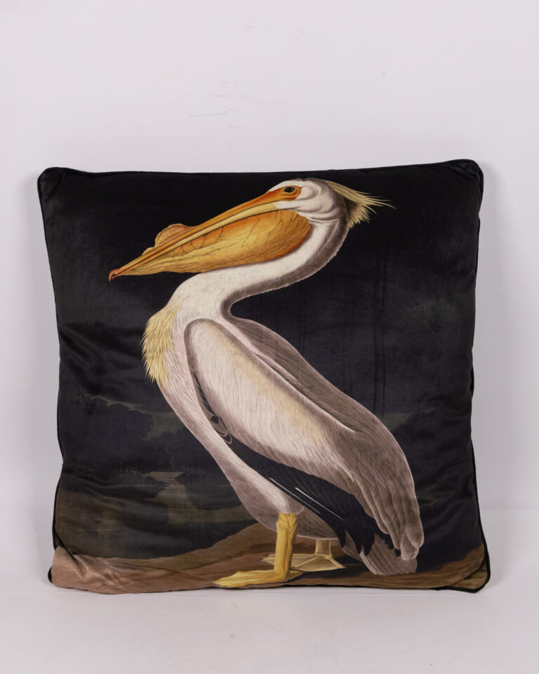 John James Audubon 'American White Pelican' Cushion - 40cm x 40cm