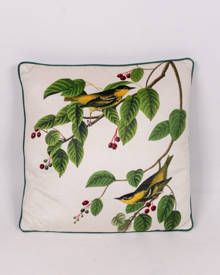 John James Audubon 'Carbonated Warbler' Cushion - 40cm x 40cm