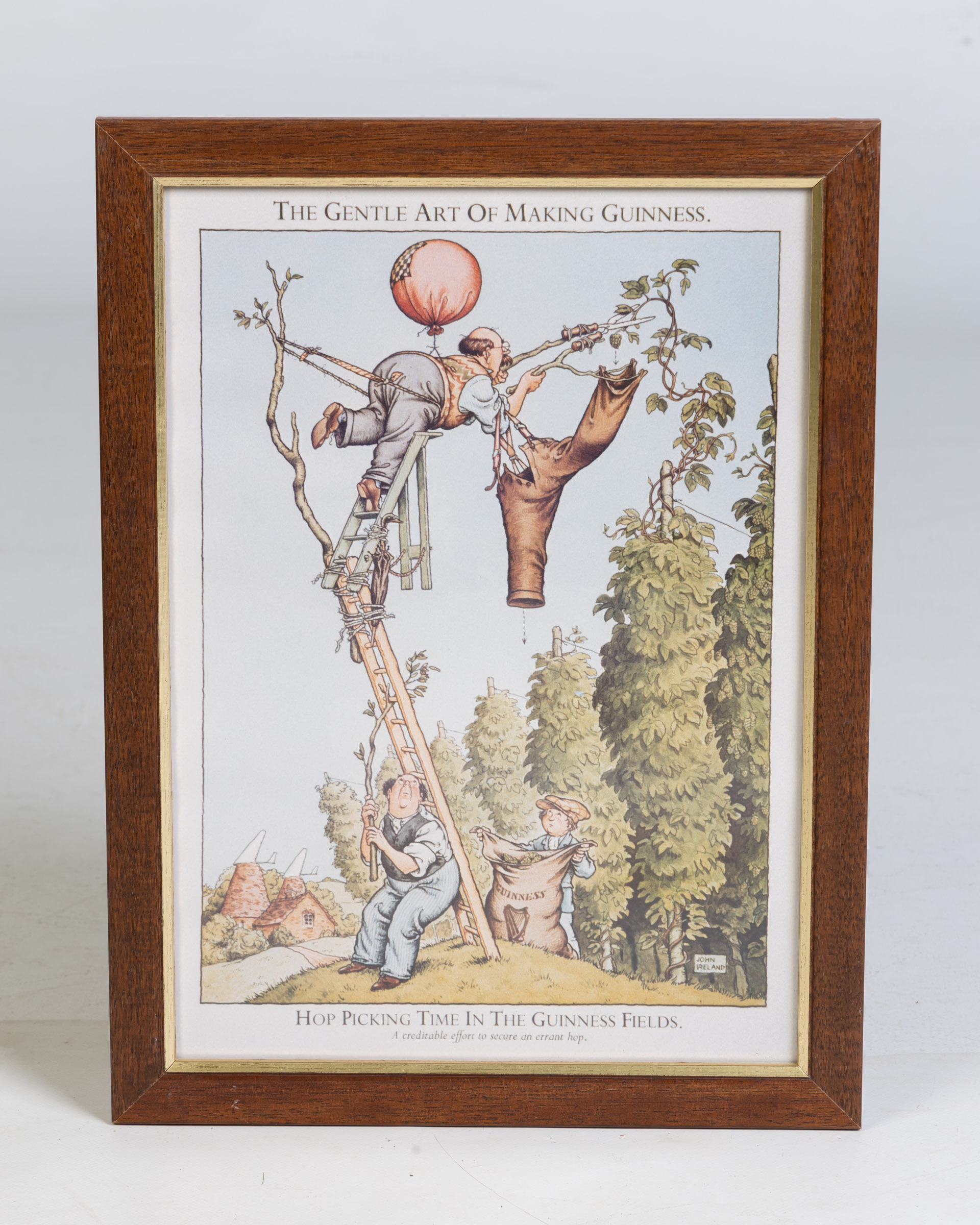 Guinness Making Framed Print – Hop Picking Time in the Guinness Fields