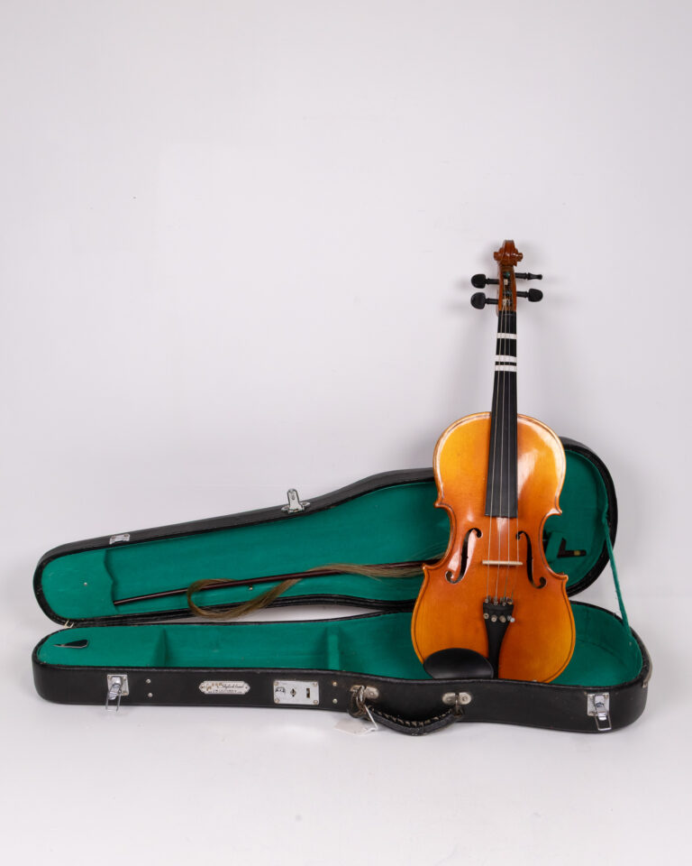 Skylark Brand Violin with Case