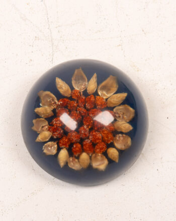 Scottish Midton Crafts Botanical Resin Paperweight