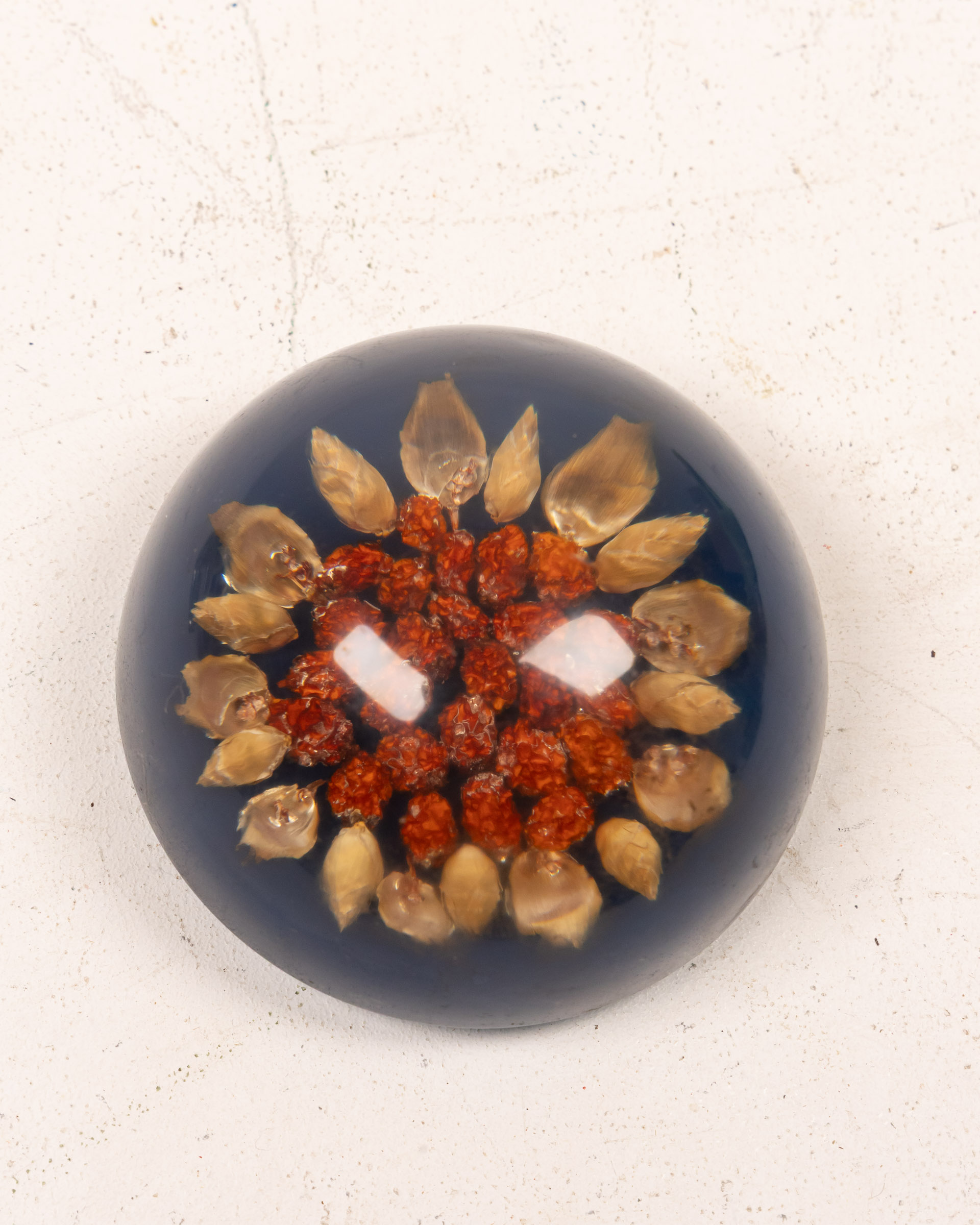 Scottish Midton Crafts Botanical Resin Paperweight