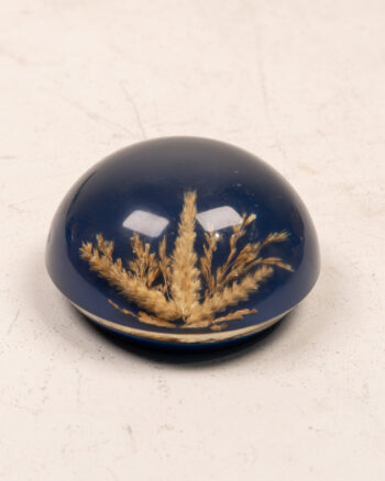 Resin Paperweight with Dried Grain Stems