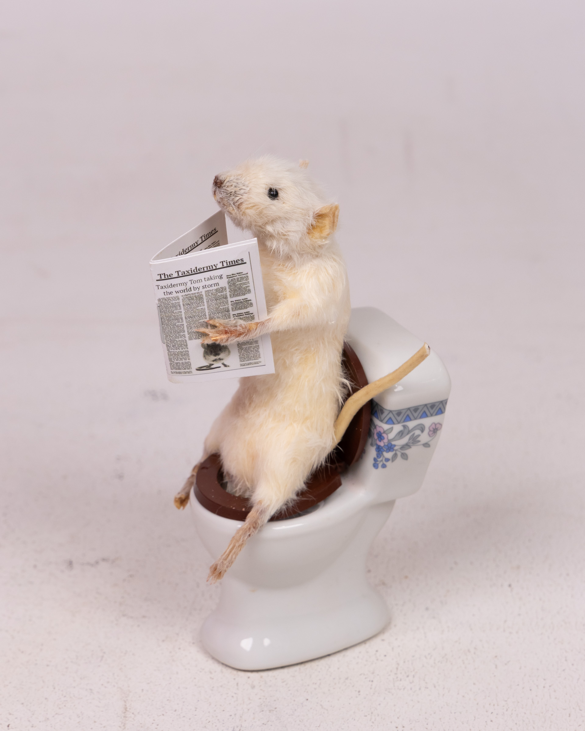 Taxidermy Mouse on Toilet