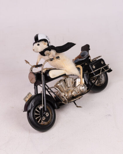Taxidermy Mouse on Motorcycle with Leathers and Helmet