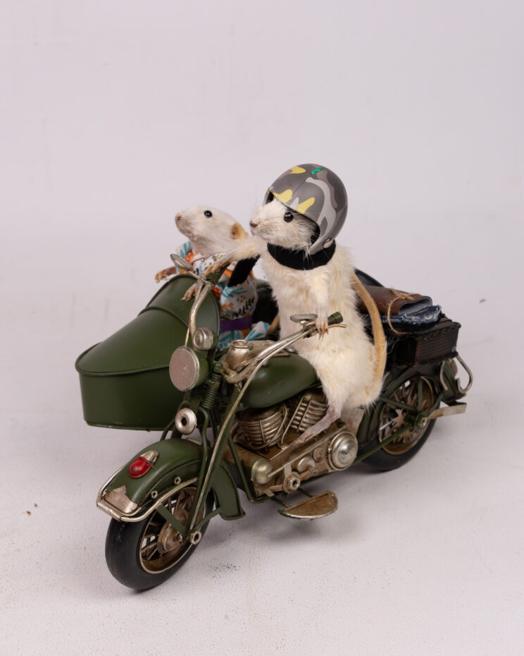 Taxidermy Mice in Motorcycle & Sidecar