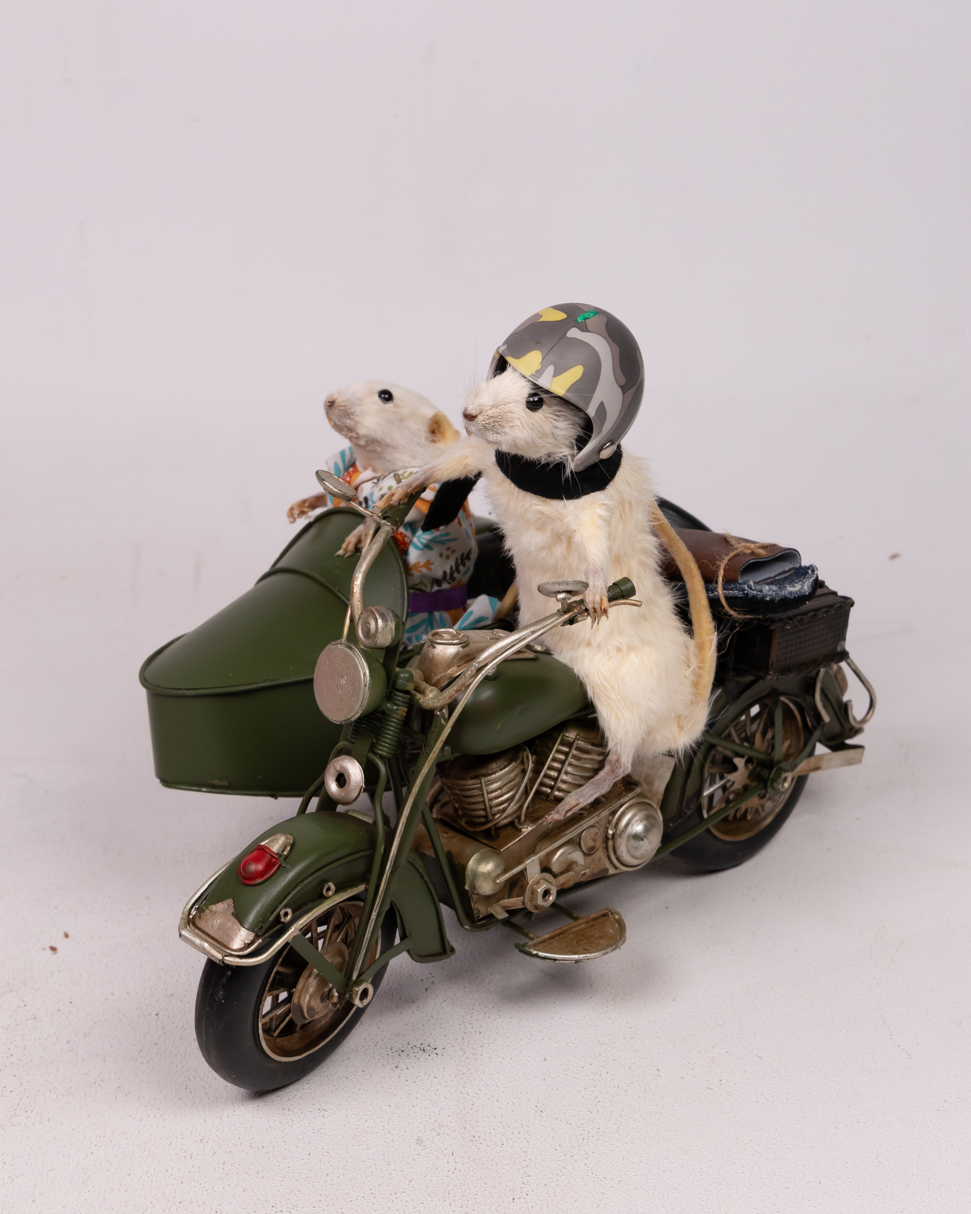 Taxidermy Mice in Motorcycle & Sidecar