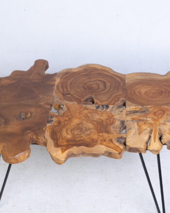 Naturale Root Wooden Coffee Table with Sleek Black Hairpin Legs