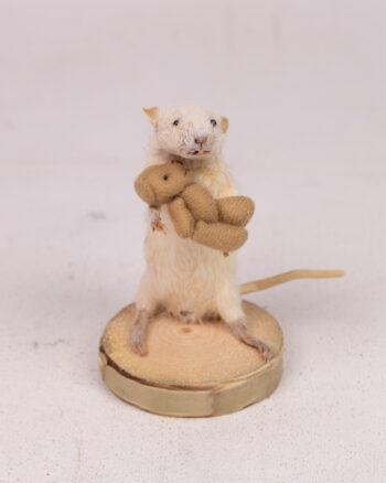 Taxidermy Mouse with Teddy Bear