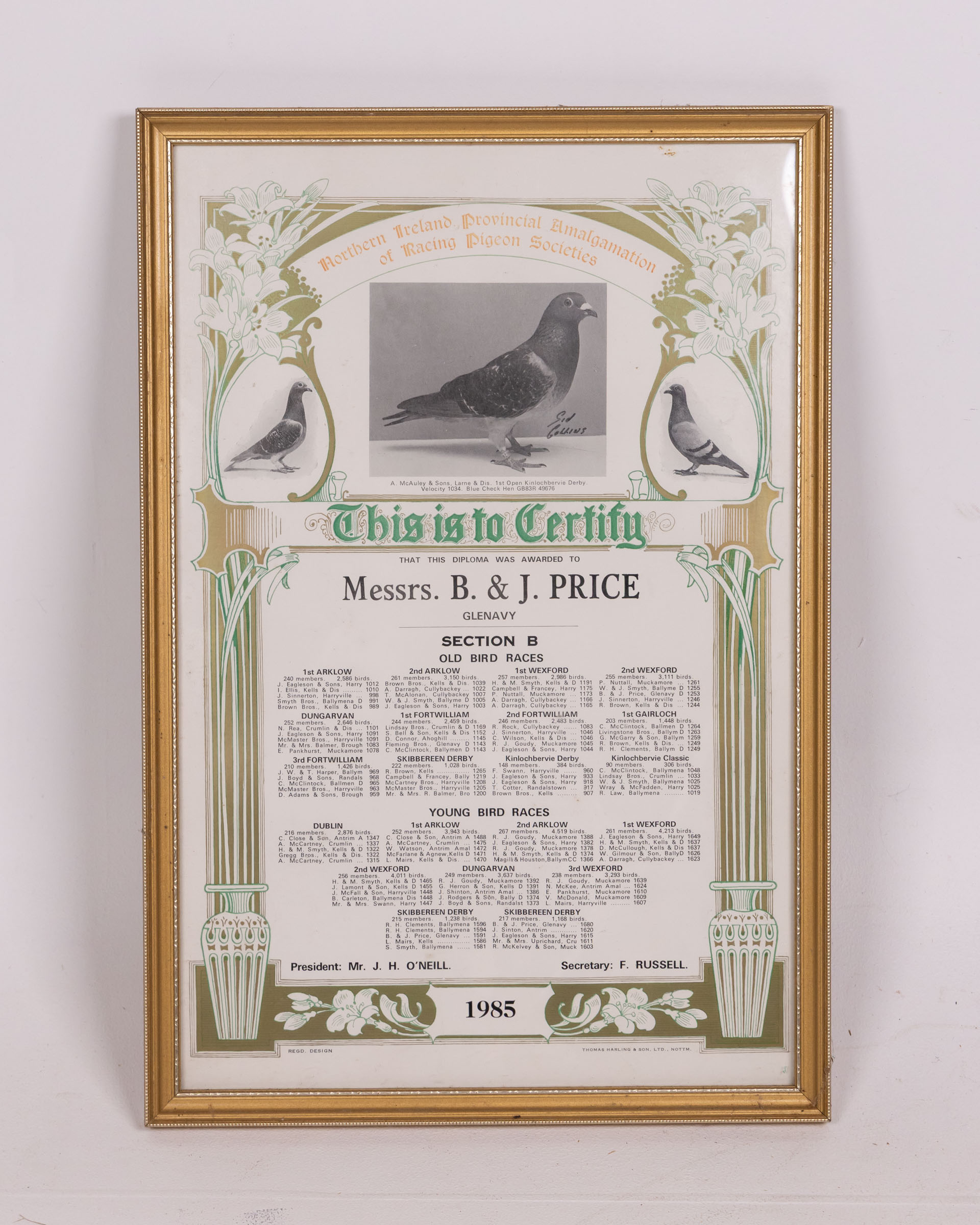 Framed 1985 Northern Ireland Pigeon Racing Certificate