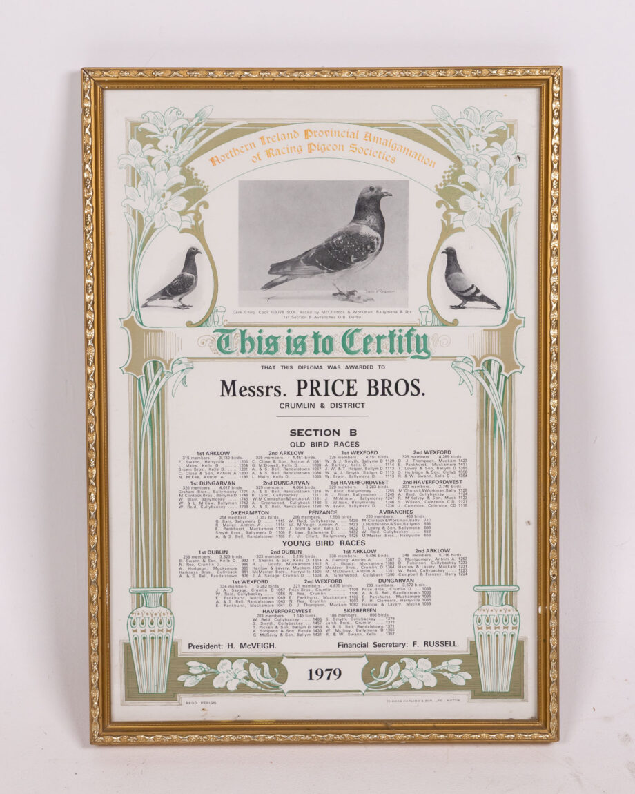 Framed 1979 Northern Ireland Pigeon Racing Certificate