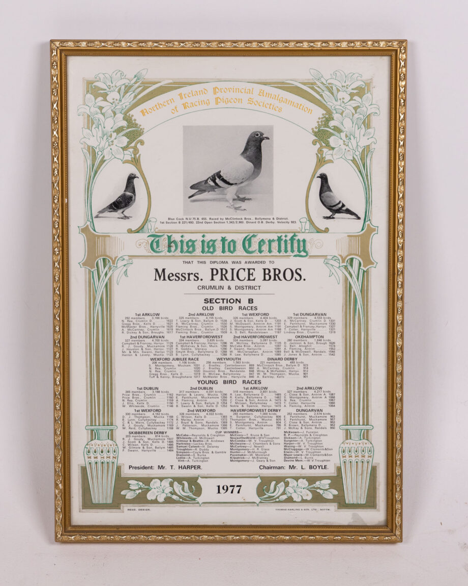 Framed 1977 Northern Ireland Pigeon Racing Certificate