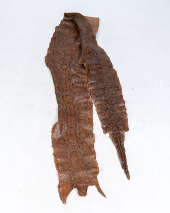 Genuine Snakeskin Taxidermy Hide – Natural Brown & Black