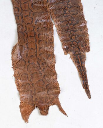 Genuine Snakeskin Taxidermy Hide – Natural Brown & Black