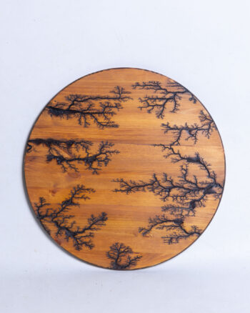 ‘Circle Fractal Wooden Board’ By The Lightning Shack
