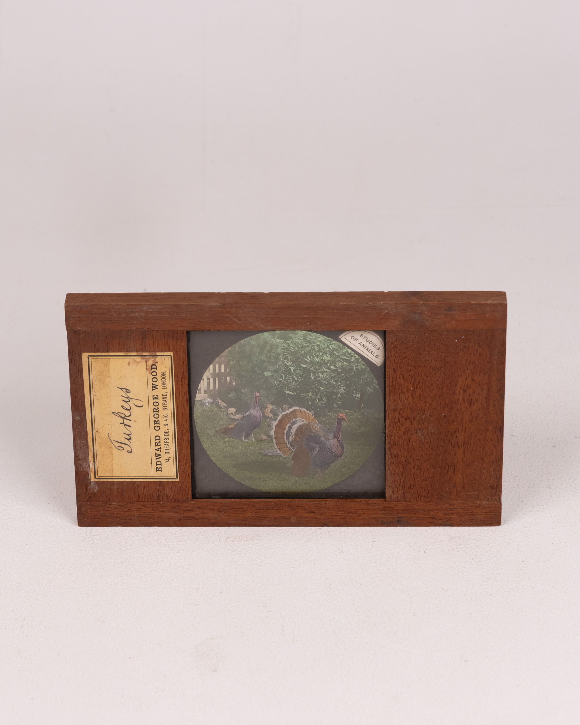 Edward George Wood Antique Framed Lantern Slide – ‘Turkeys’ Image