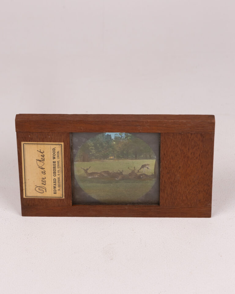 Vintage 'Deer at Rest' Magic Lantern Slide by Edward George Wood