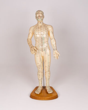 Vintage Anatomical Acupuncture Model, Plastic Human Figure on Wooden Base
