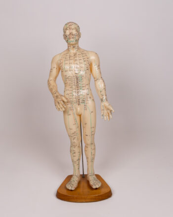 Vintage Anatomical Acupuncture Model, Plastic Human Figure on Wooden Base