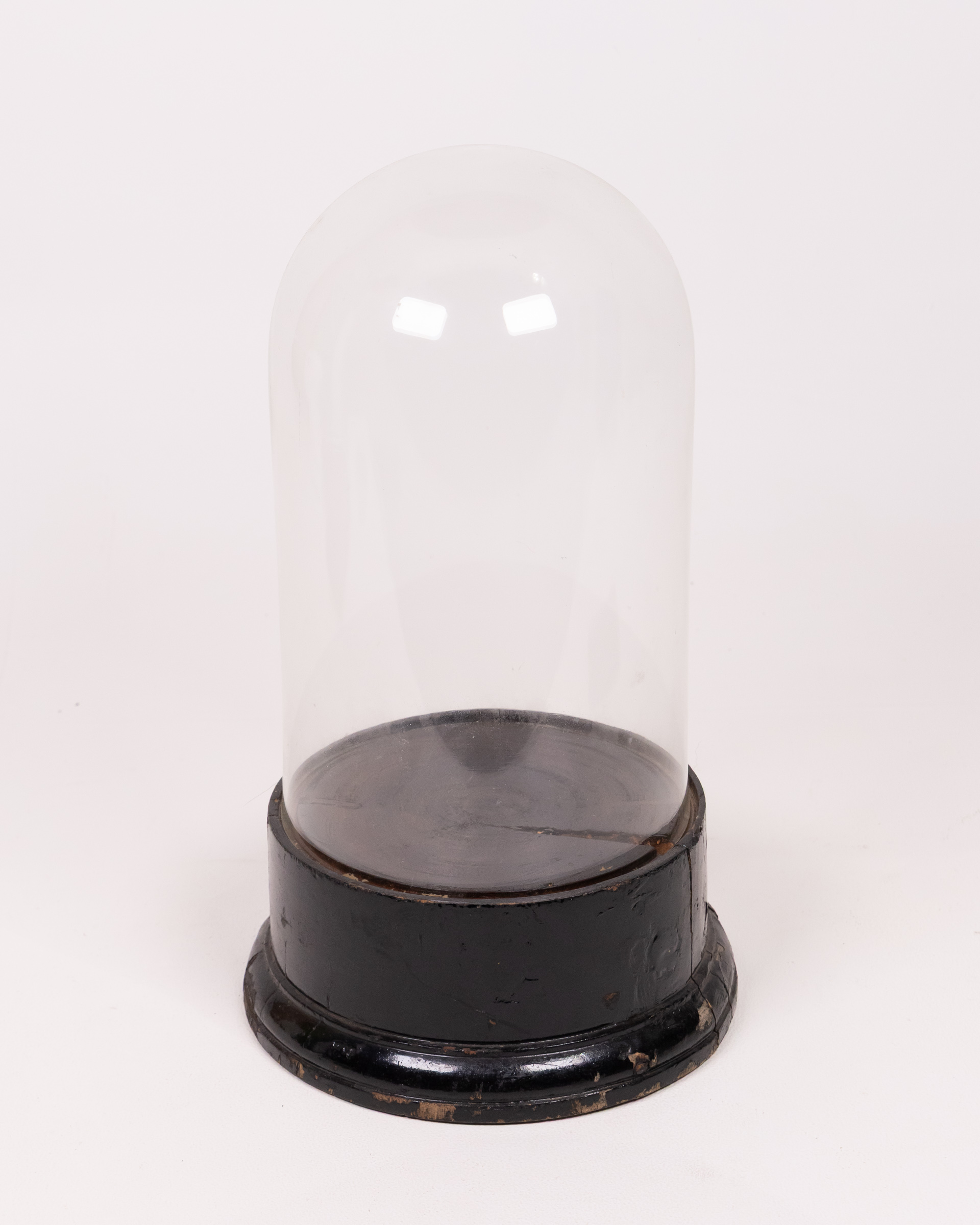 Classic Glass Cloche Display Dome with Black Wooden Base