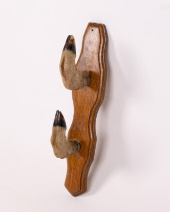 Vintage Taxidermy Deer Leg Coat Hook