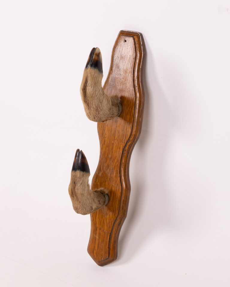 Vintage Taxidermy Deer Leg Coat Hook