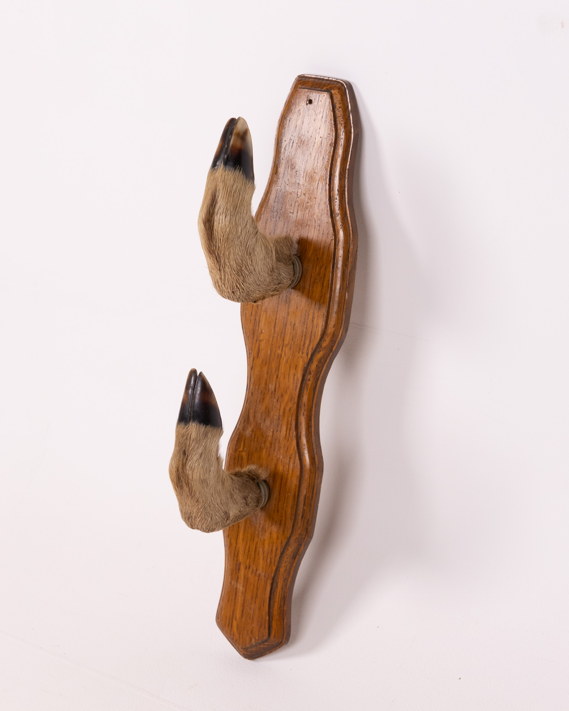 Vintage Taxidermy Deer Leg Coat Hook