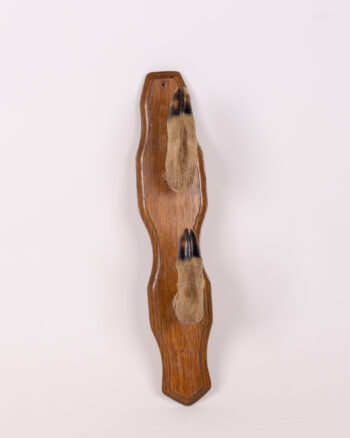 Vintage Taxidermy Deer Leg Coat Hook