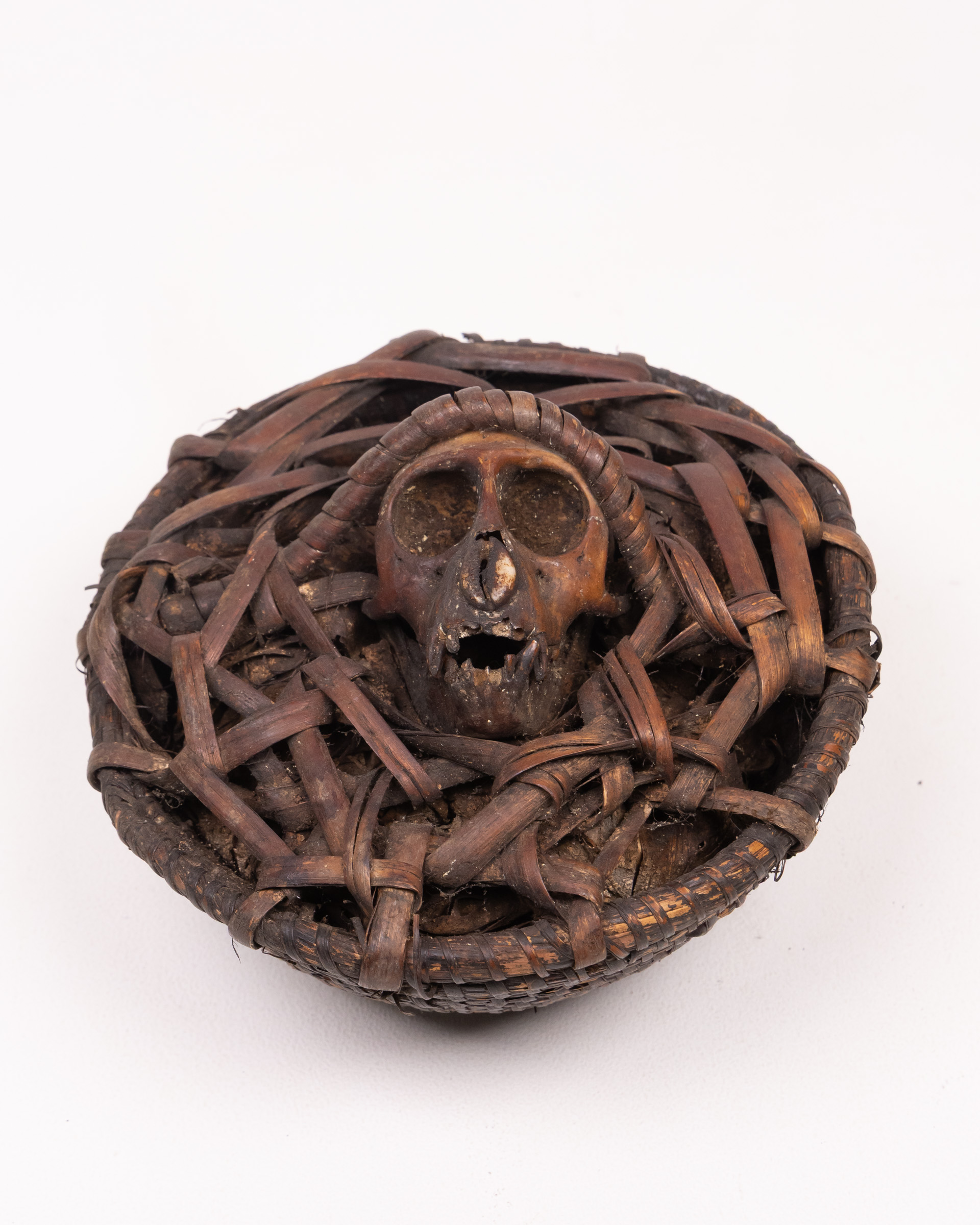 Monkey Skull in Woven Basket