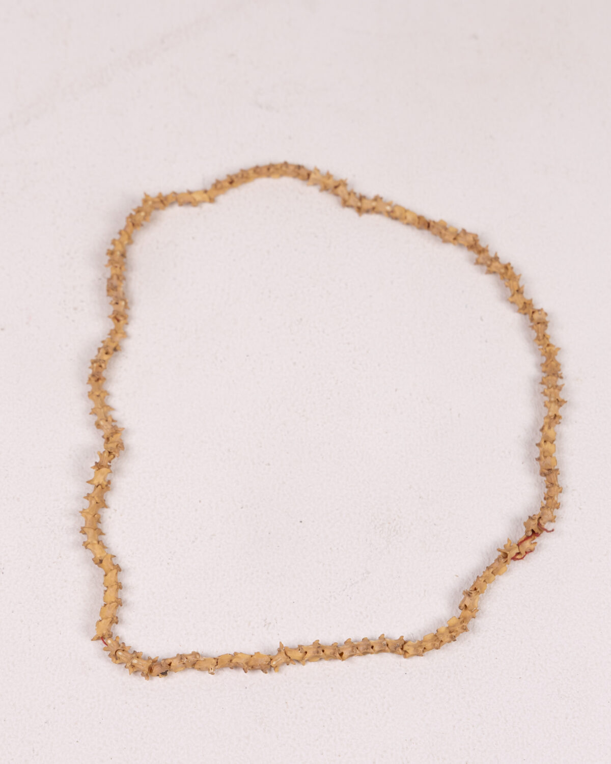 Natural Snake Spine Vertebrae Chain Decoration On The Square