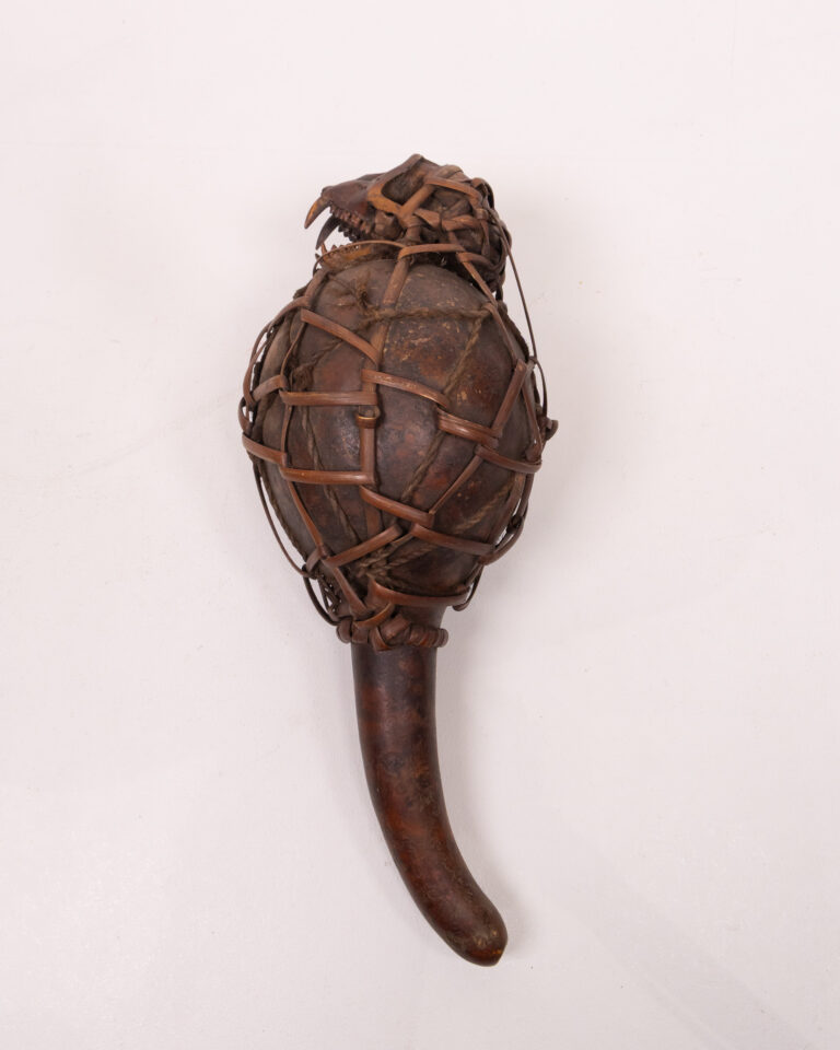 Natural Rhesus Macaque Monkey Skull on Gourd Rattle