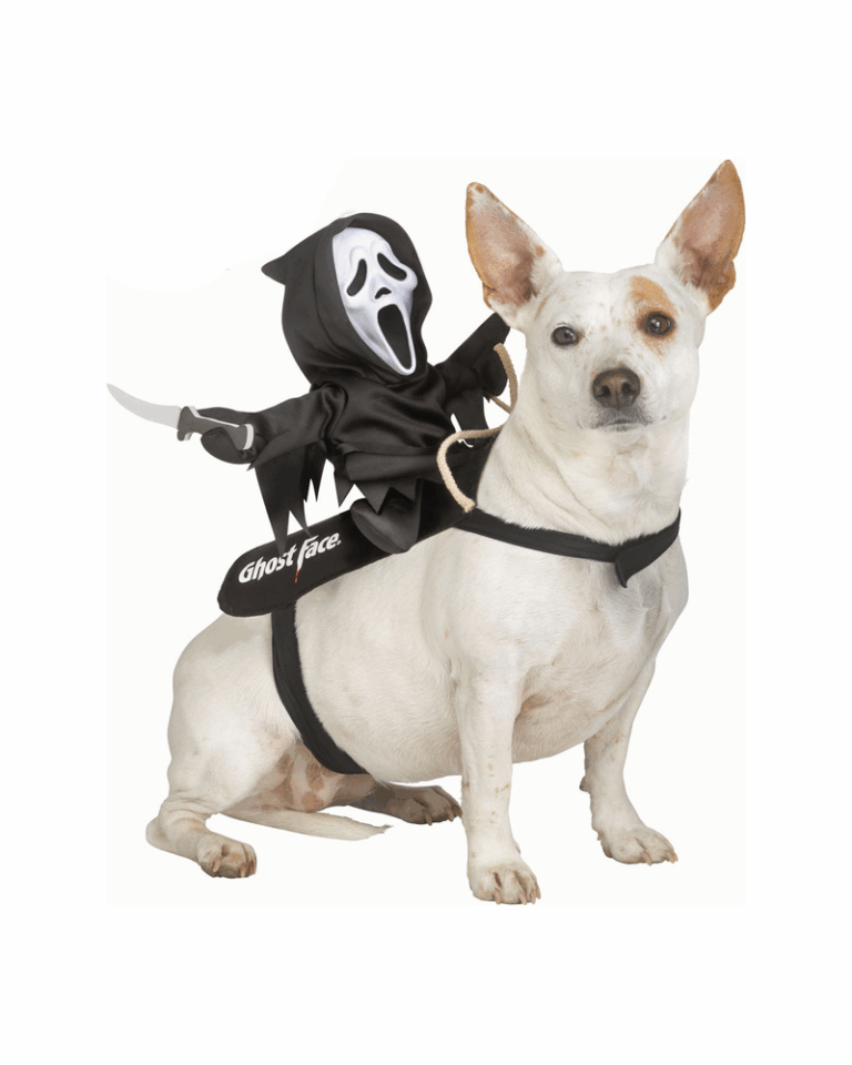 Ghost Face® Rider Pet Costume