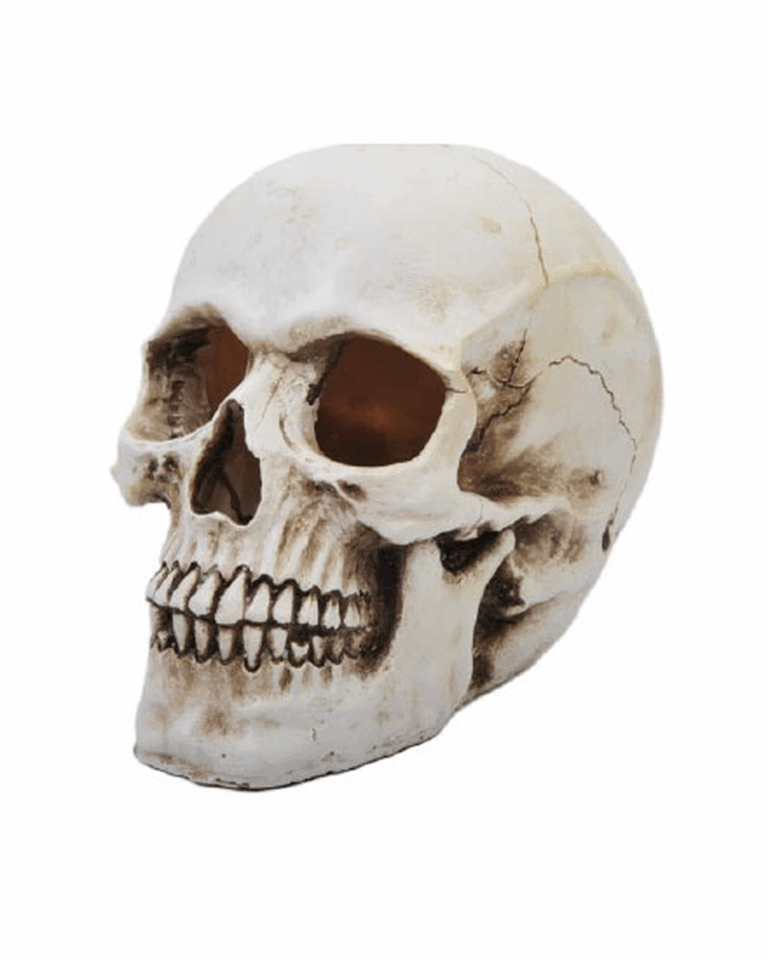 Halloween Style resin Skull Decoration