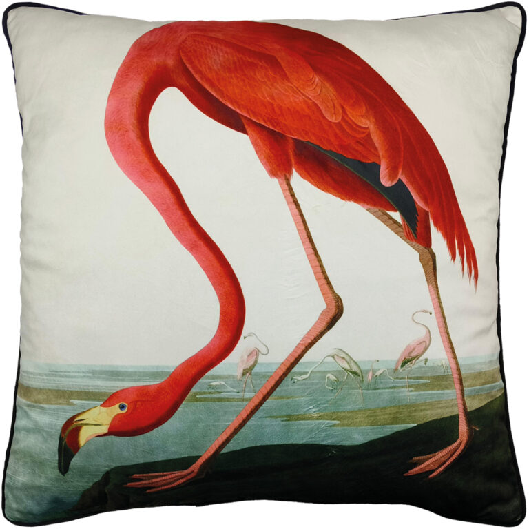 Flamingo Print Velvet Cushion with Black Piping by John James Audubon