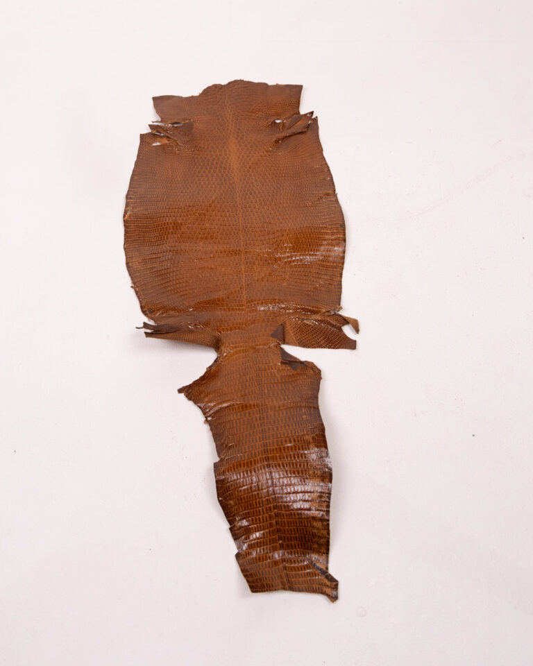 Vintage Reptile Skin with Scale Pattern