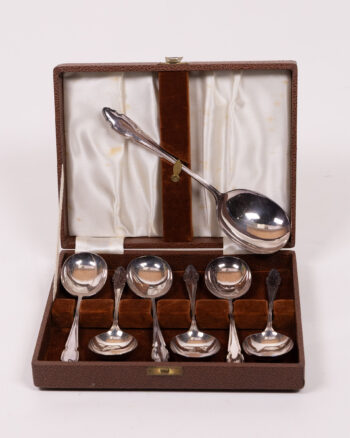 Vintage Silver Plated Tea Spoons with Ladle Cased Set