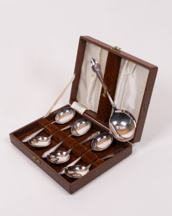 Vintage Silver Plated Tea Spoons with Ladle Cased Set