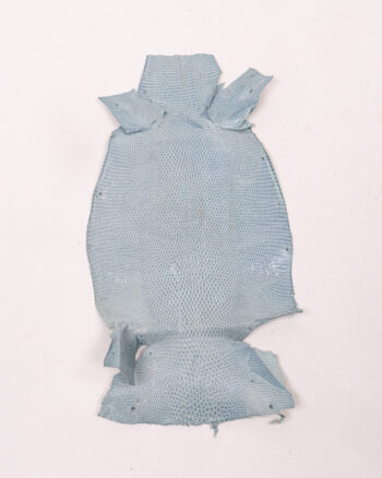 Vintage Blue Lizard Skin Pelt for Crafts with Markings
