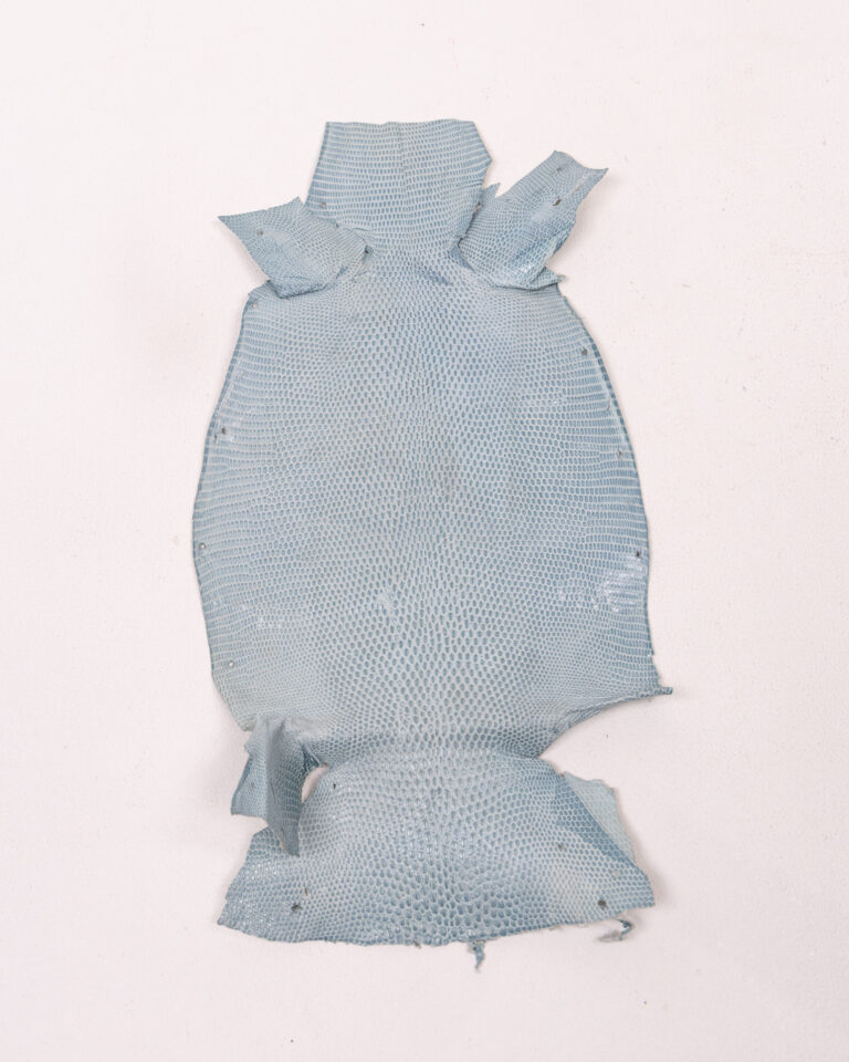Vintage Blue Lizard Skin Pelt for Crafts with Markings