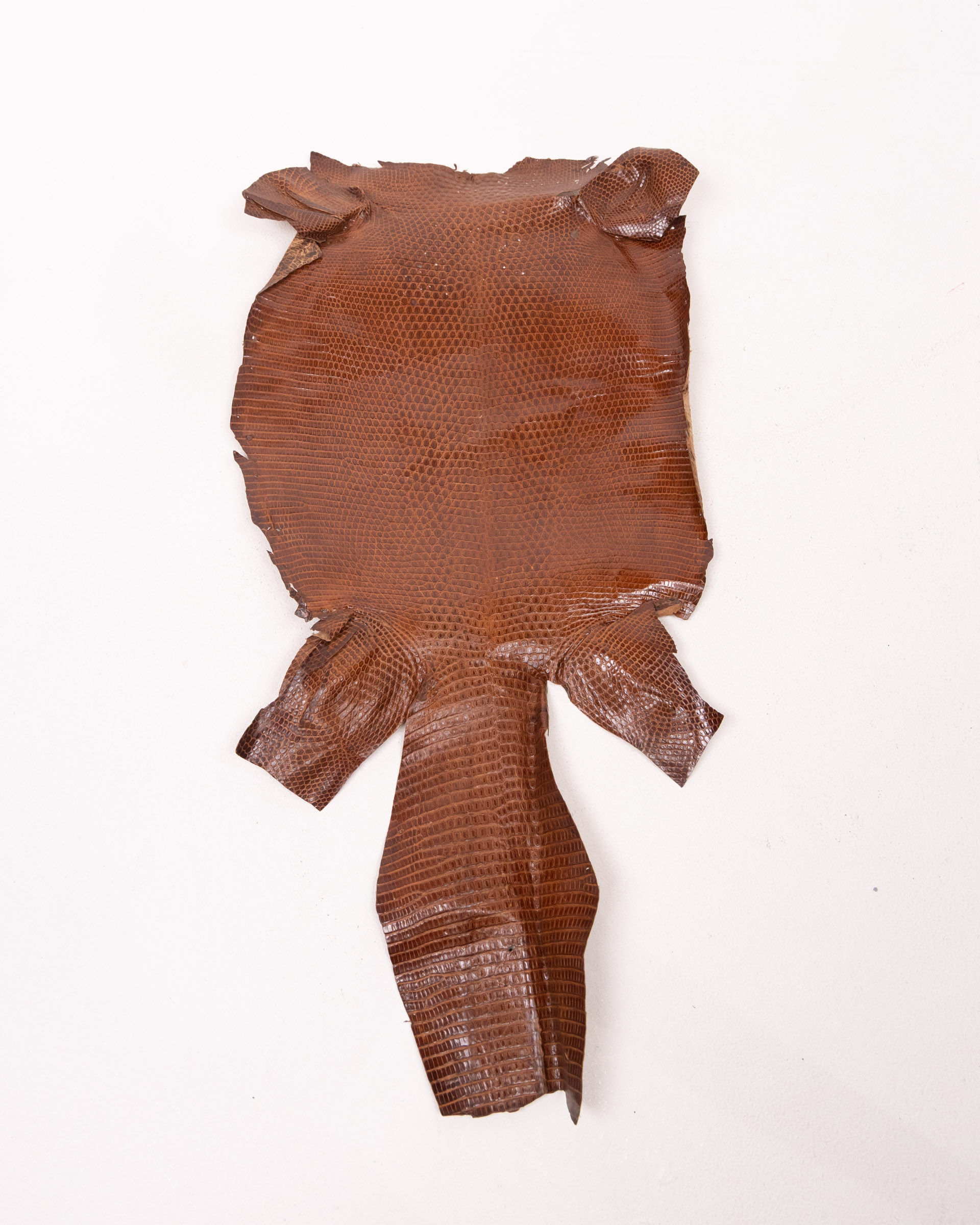 Vintage Lizard Skin with Natural Pattern