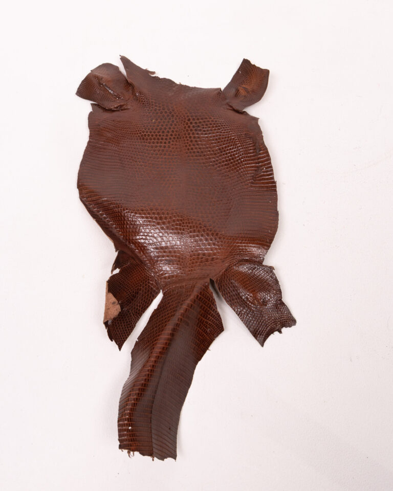 Brown Reptile Skin Hide for Craft