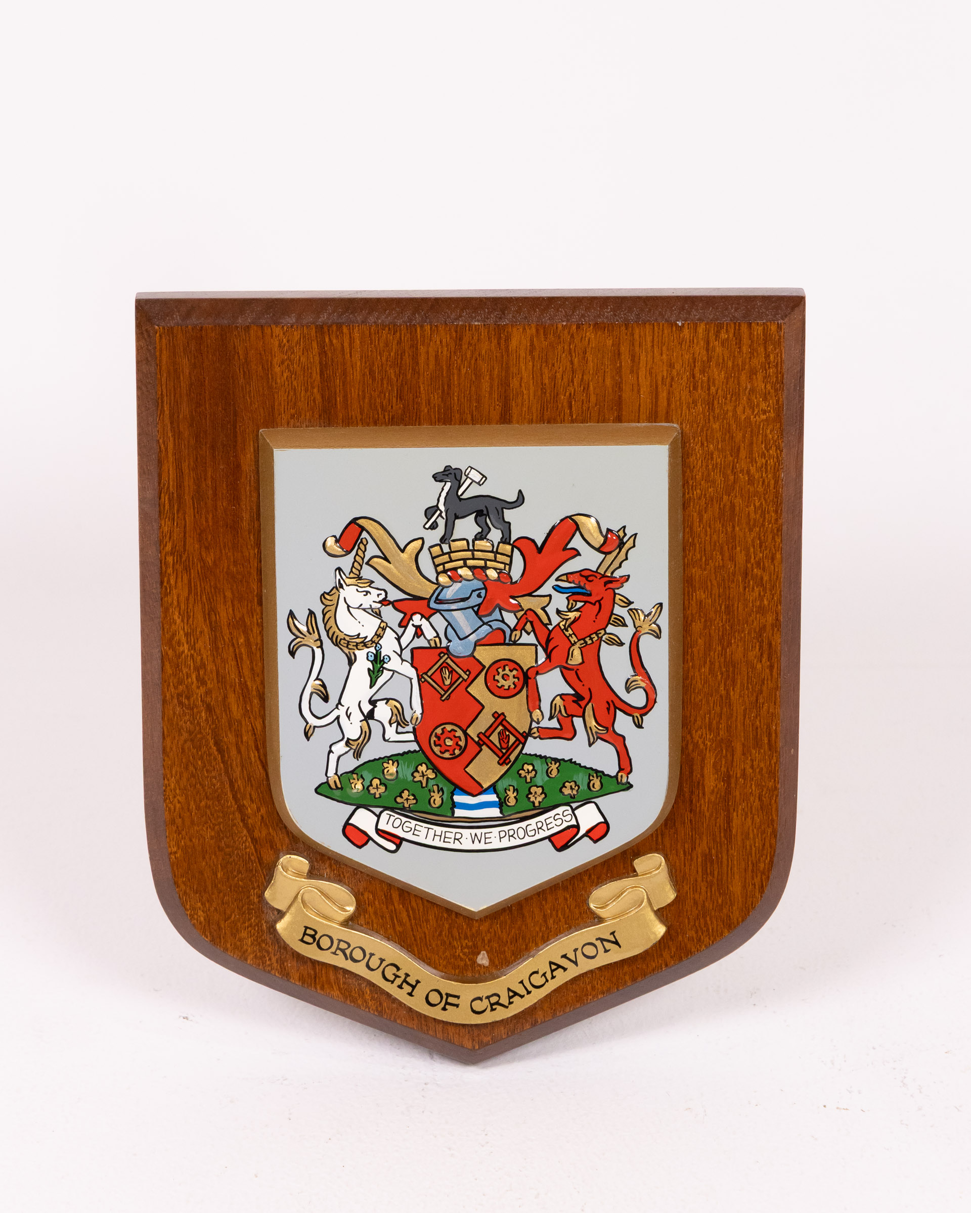 Vintage Borough of Craigavon Wooden Plaque with Crest