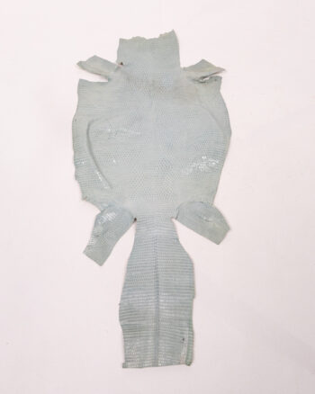 Vintage Reptile Lizard Skin Hide for Crafts