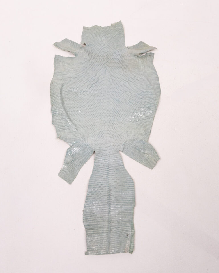 Vintage Reptile Lizard Skin Hide for Crafts