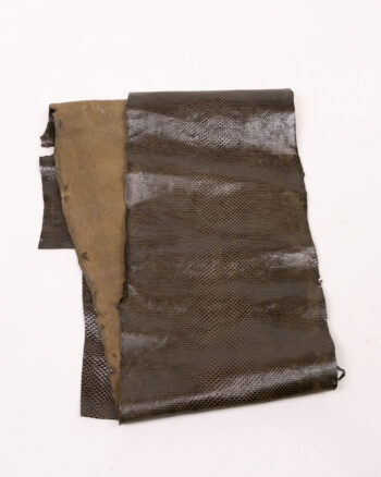 Lizard Skin Hide with Scale Detail