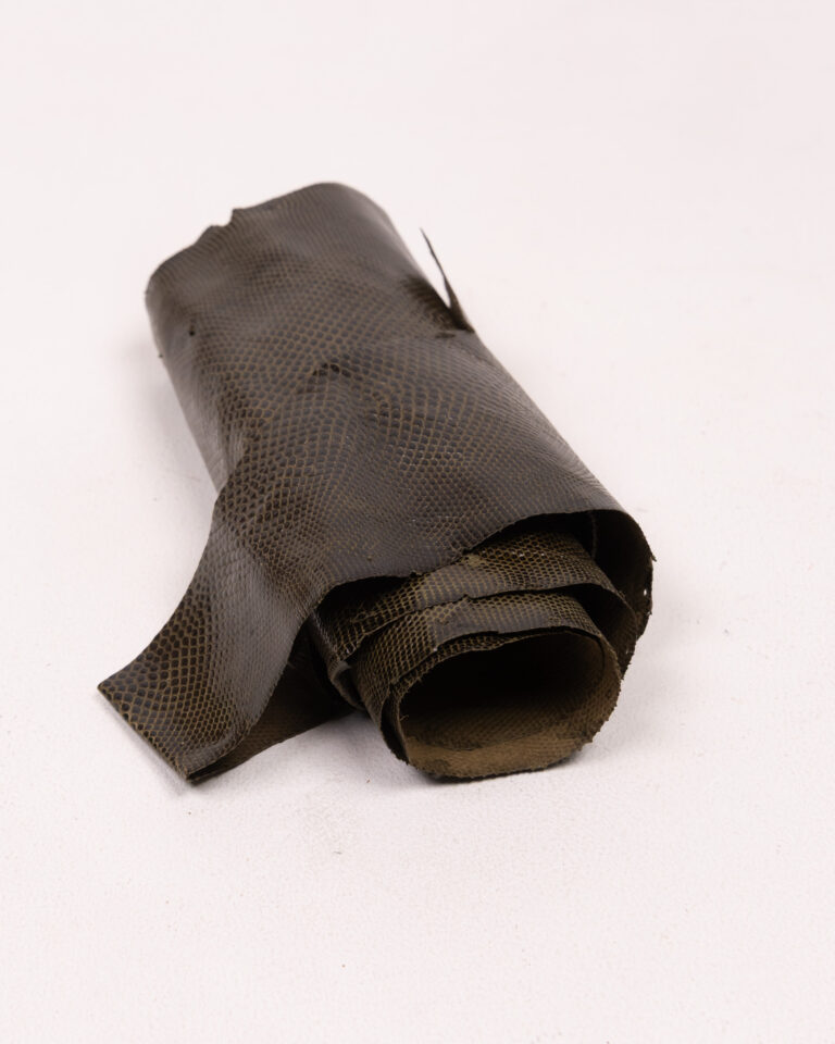 Lizard Skin Hide with Scale Detail