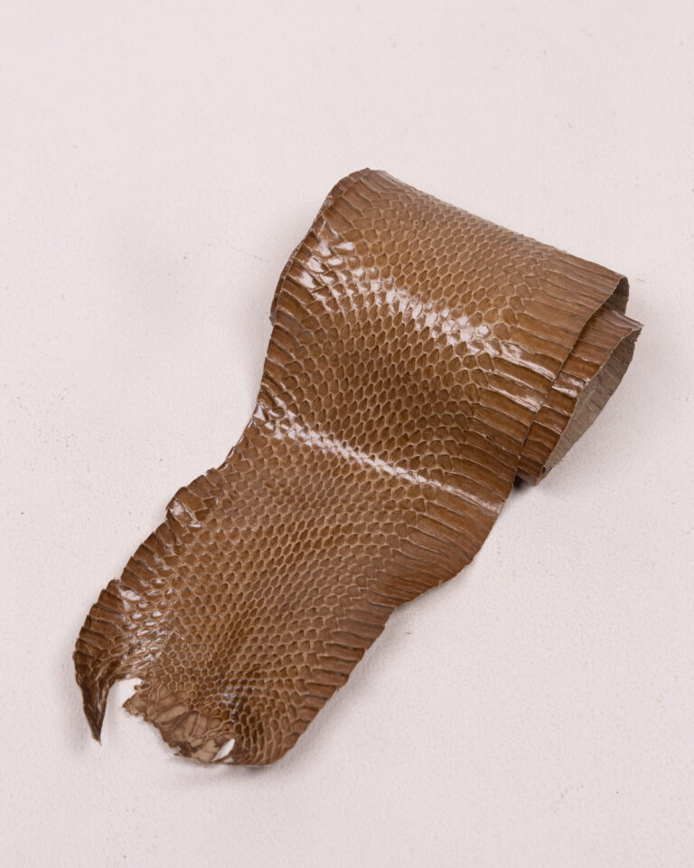 Vintage Reptile Skin Hide for Decor