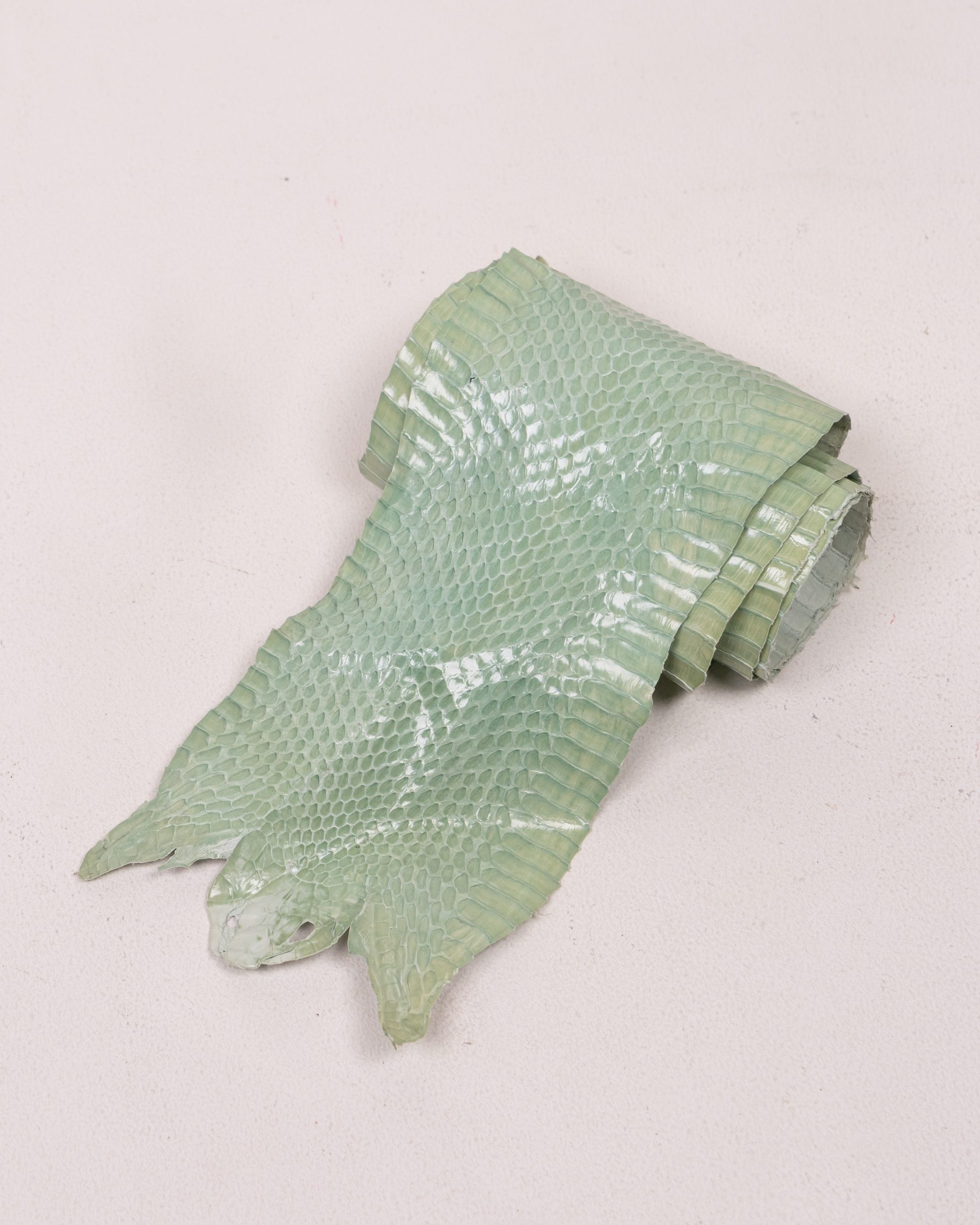 Green Tanned Lizard Skin for Crafts or Decor