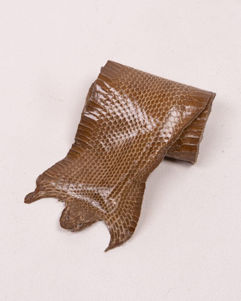 Vintage Reptile Skin with Scale Pattern