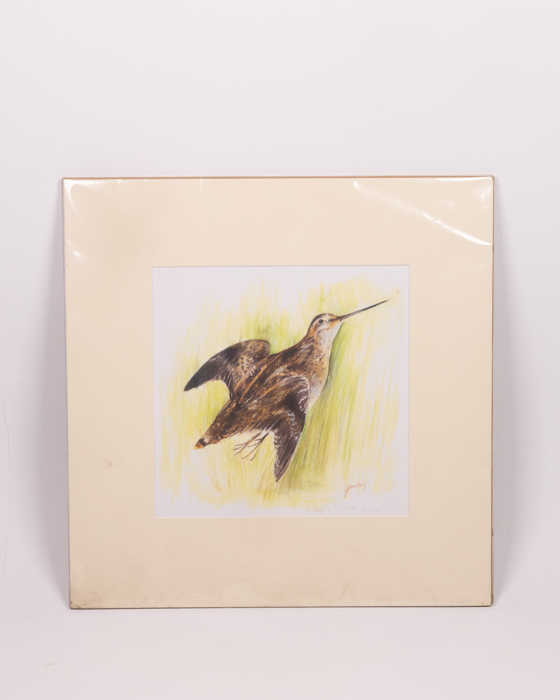 Framed ‘Snipe in Flight’ Bird Print with Artist Signature